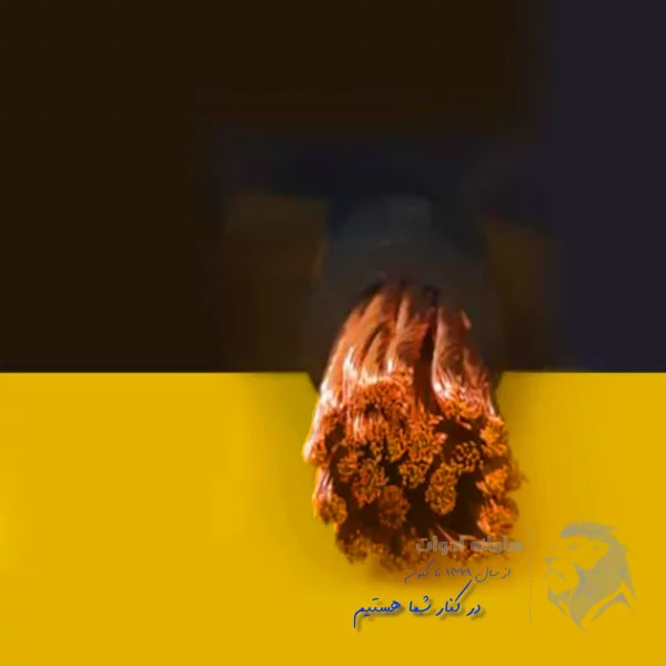 کابل جوشکاری پرایم سپهر جوش سایز 14